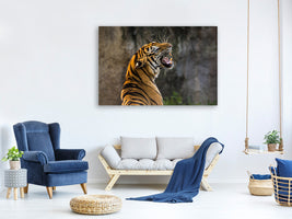 3-piece-canvas-print-attention-tiger