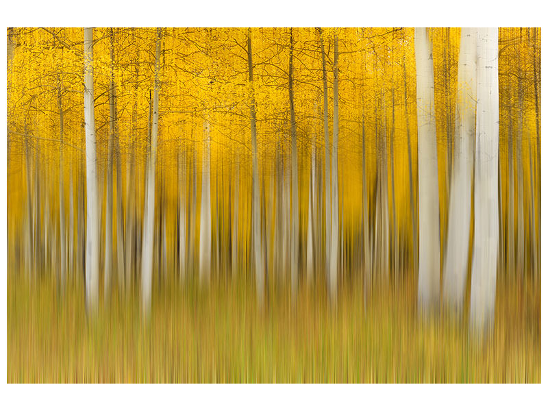 5-piece-canvas-print-autumn-dream-ii