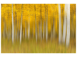 3-piece-canvas-print-autumn-dream-ii