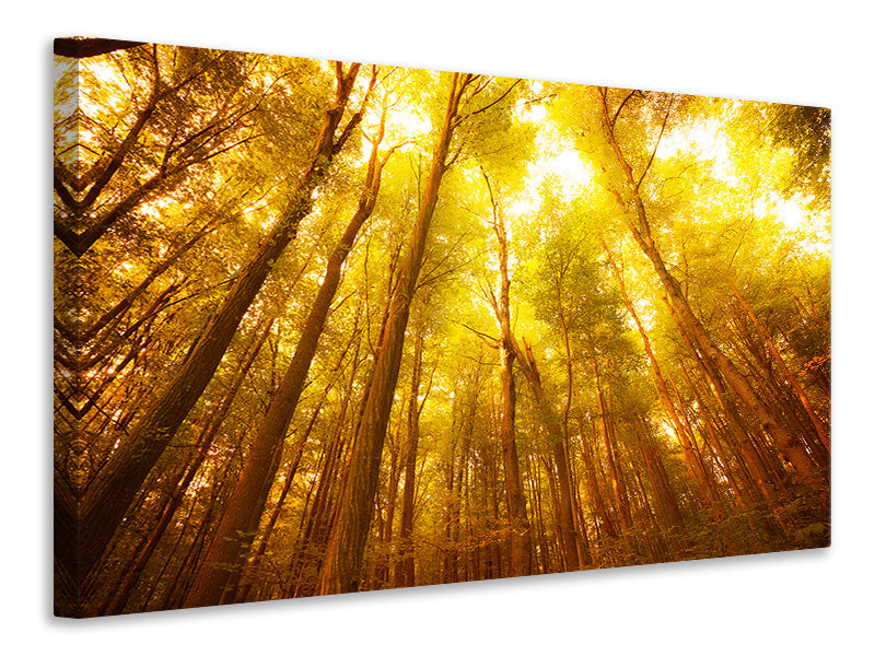 5-piece-canvas-print-autumn-forest