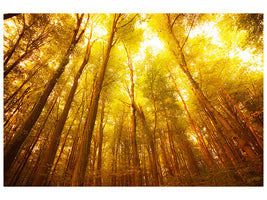 5-piece-canvas-print-autumn-forest