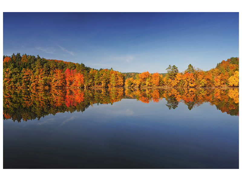modern-4-piece-canvas-print-autumn-ii