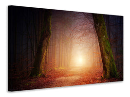 4-piece-canvas-print-autumn-in-the-woods