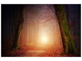 4-piece-canvas-print-autumn-in-the-woods