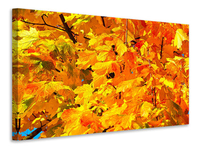 panoramic-3-piece-canvas-print-autumn-leaves-ii