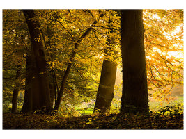 5-piece-canvas-print-autumn-leaves