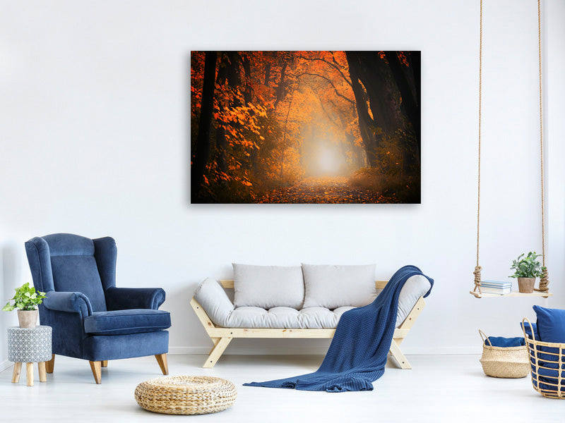3-piece-canvas-print-autumn-light-in-the-forest