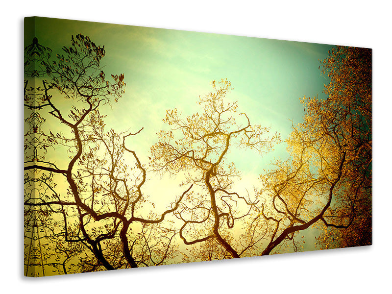4-piece-canvas-print-autumn-trees-ii