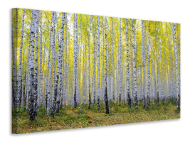 panoramic-3-piece-canvas-print-autumnal-birch-forest