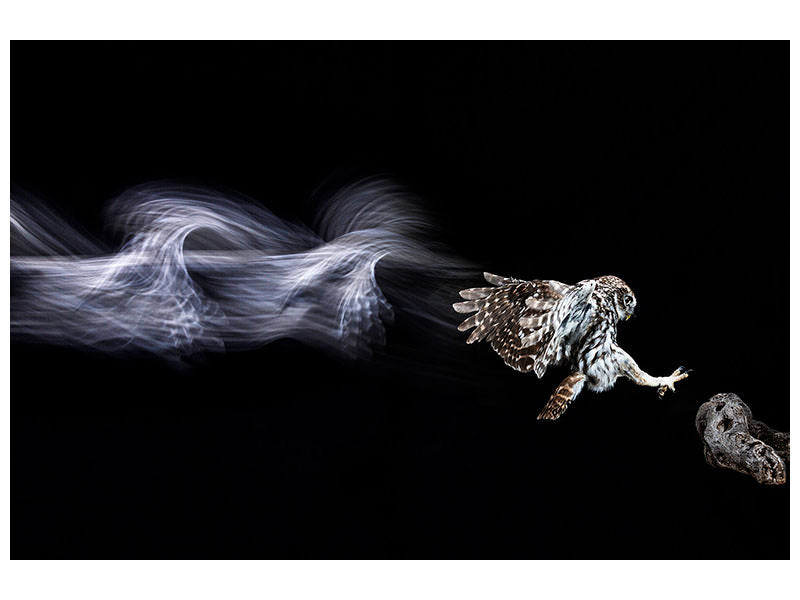 5-piece-canvas-print-back-to-the-future