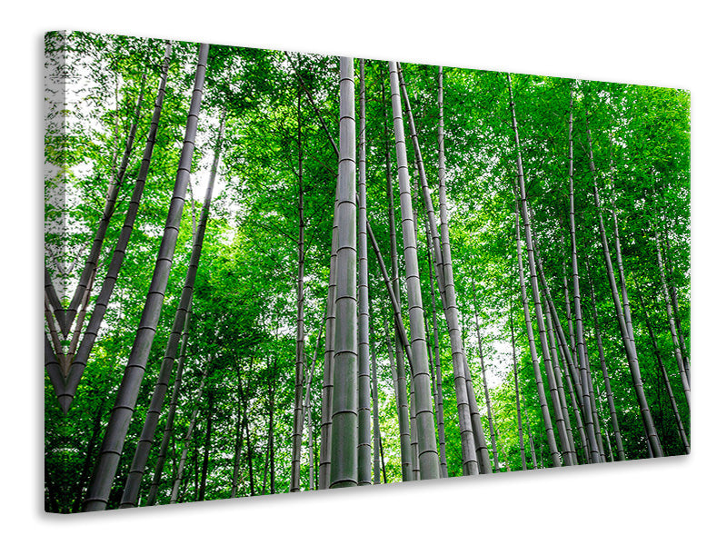 3-piece-canvas-print-bamboo-forest