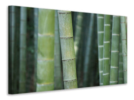 modern-3-piece-canvas-print-bamboo-in-xxl
