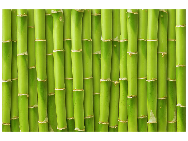 modern-4-piece-canvas-print-bamboo-wall