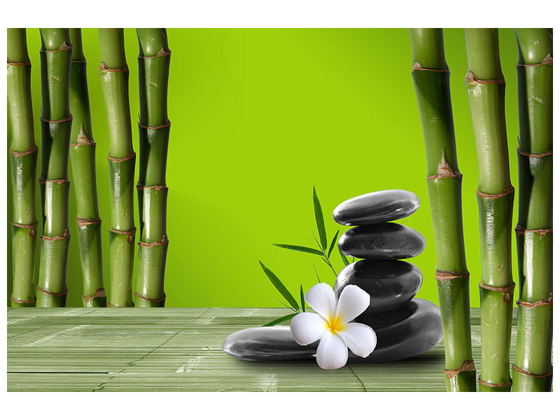 5-piece-canvas-print-bamboo
