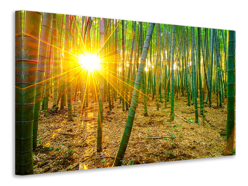 panoramic-3-piece-canvas-print-bamboos