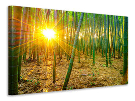 modern-4-piece-canvas-print-bamboos