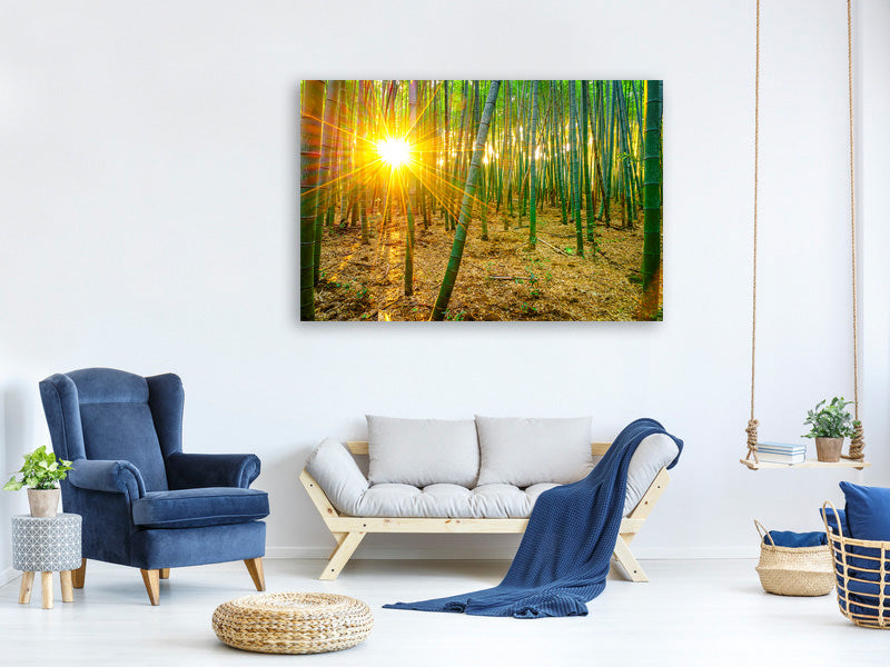 panoramic-canvas-print-bamboos