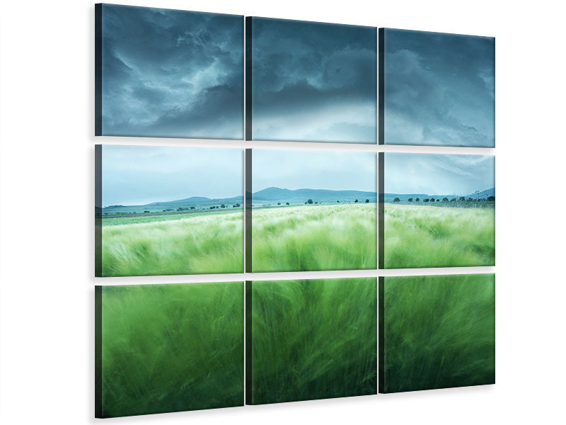 4-piece-canvas-print-barley-field