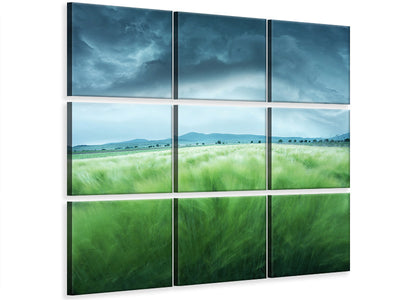 4-piece-canvas-print-barley-field