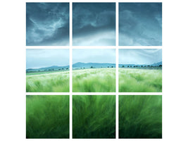 4-piece-canvas-print-barley-field