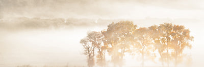 panoramic-canvas-print-autumn-dreams-panorama