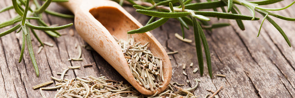 panoramic-canvas-print-rosemary-panorama