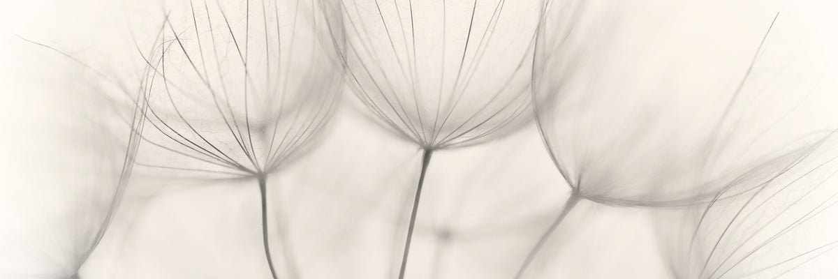 panoramic-canvas-print-no-title-panorama