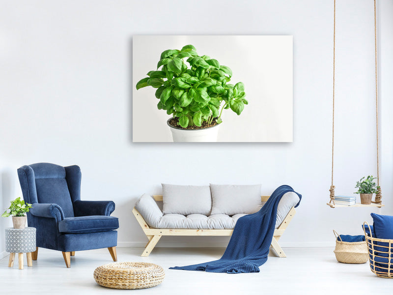 5-piece-canvas-print-basil-in-the-pot