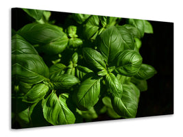 panoramic-3-piece-canvas-print-basil-in-xl