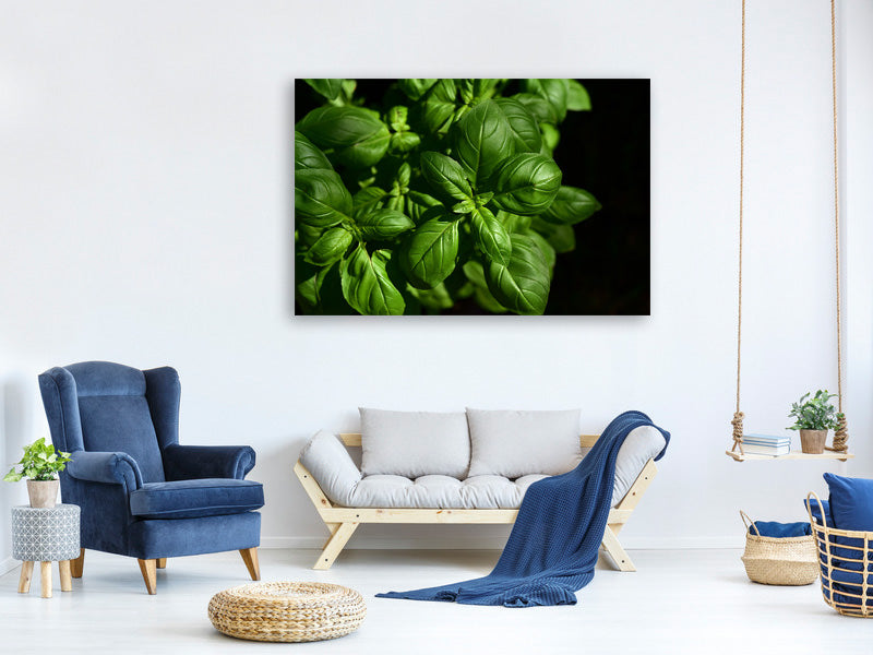 panoramic-3-piece-canvas-print-basil-in-xl