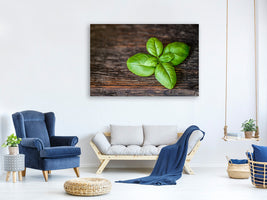 5-piece-canvas-print-basil-leaf-in-xxl