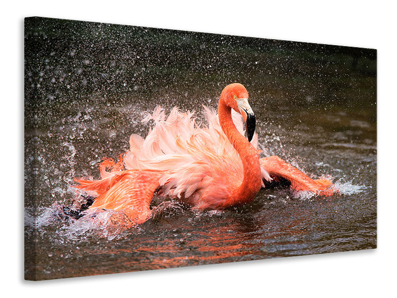 5-piece-canvas-print-bath