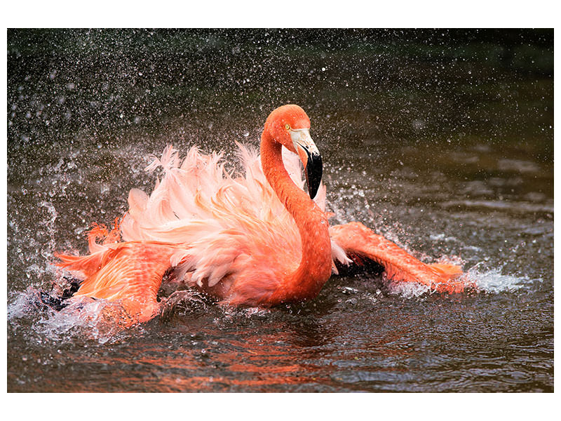 3-piece-canvas-print-bath