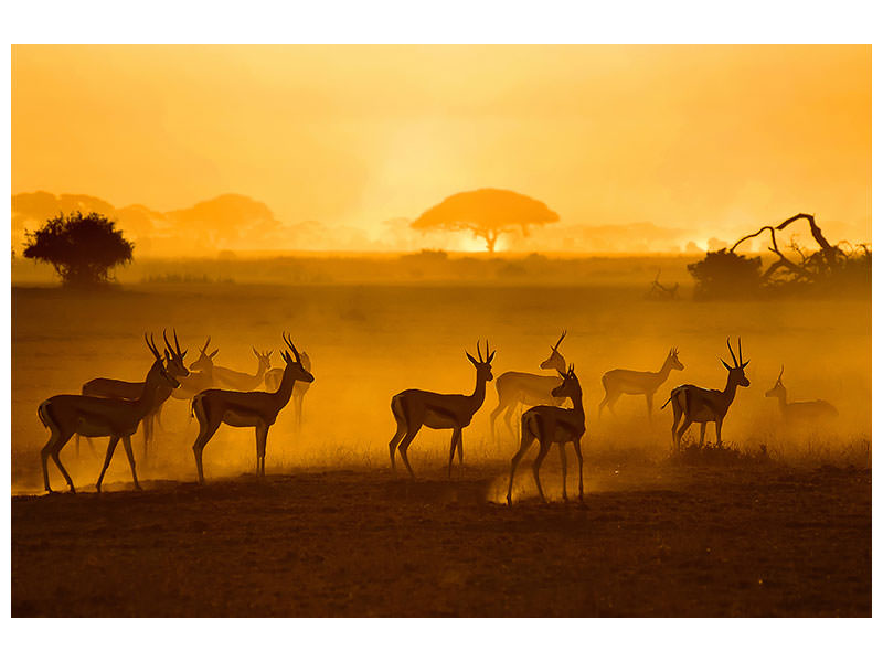 3-piece-canvas-print-be-careful