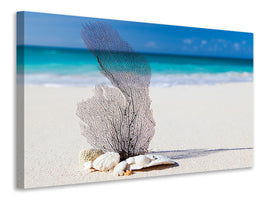 3-piece-canvas-print-beach-art