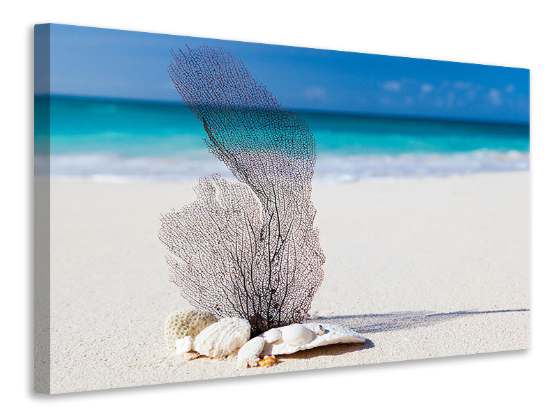 3-piece-canvas-print-beach-art