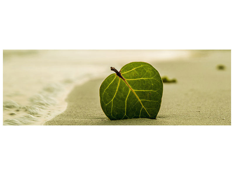 panoramic-3-piece-canvas-print-beach-leaf