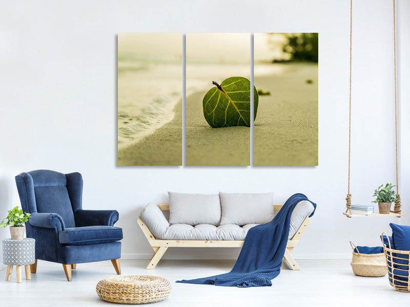 panoramic-canvas-print-beach-leaf