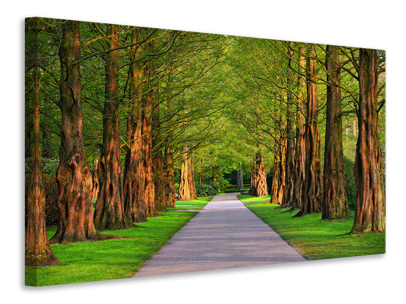 modern-4-piece-canvas-print-beautiful-avenue-in-nature