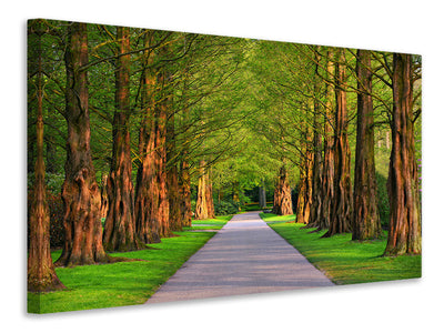 modern-3-piece-canvas-print-beautiful-avenue-in-nature