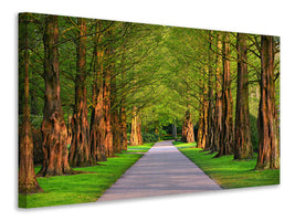 panoramic-canvas-print-beautiful-avenue-in-nature