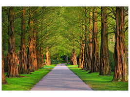 panoramic-canvas-print-beautiful-avenue-in-nature