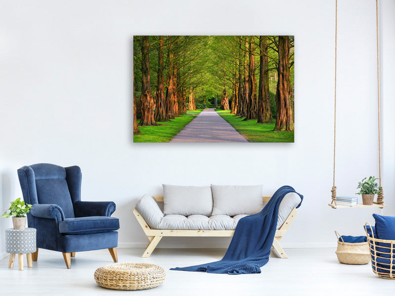 3-piece-canvas-print-beautiful-avenue-in-nature