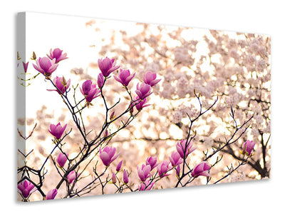 5-piece-canvas-print-beautiful-magnolia-xl