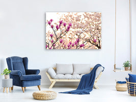 modern-3-piece-canvas-print-beautiful-magnolia-xl