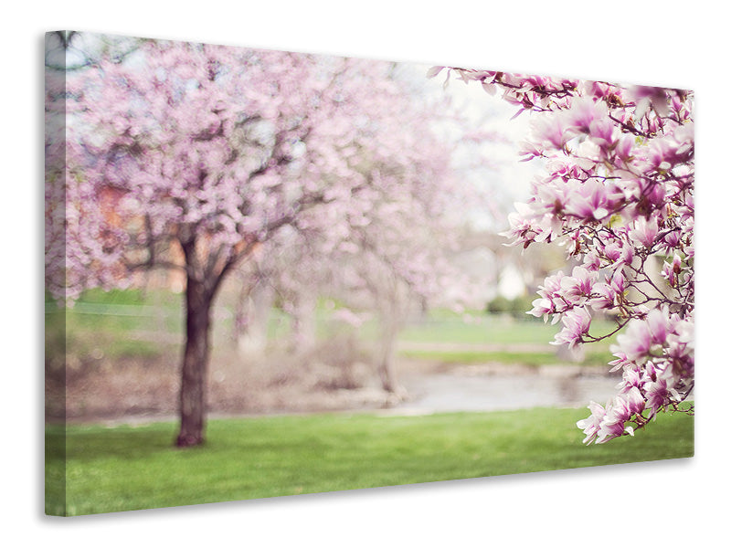 4-piece-canvas-print-beautiful-magnolias