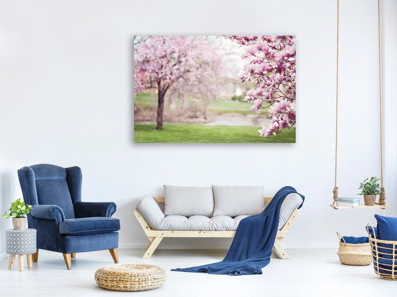 4-piece-canvas-print-beautiful-magnolias