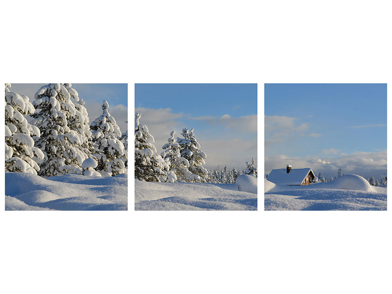panoramic-canvas-print-beautiful-snow-landscape