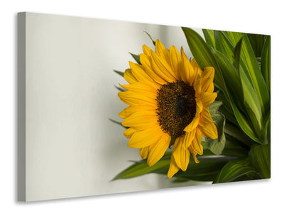 3-piece-canvas-print-beautiful-sunflower