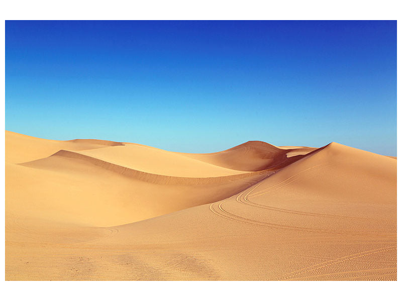 modern-4-piece-canvas-print-beauty-desert